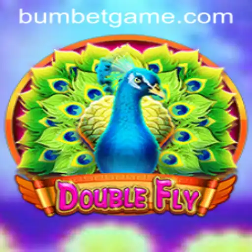 Discovering DoubleFly: A Strategic Thrill with Bumbet